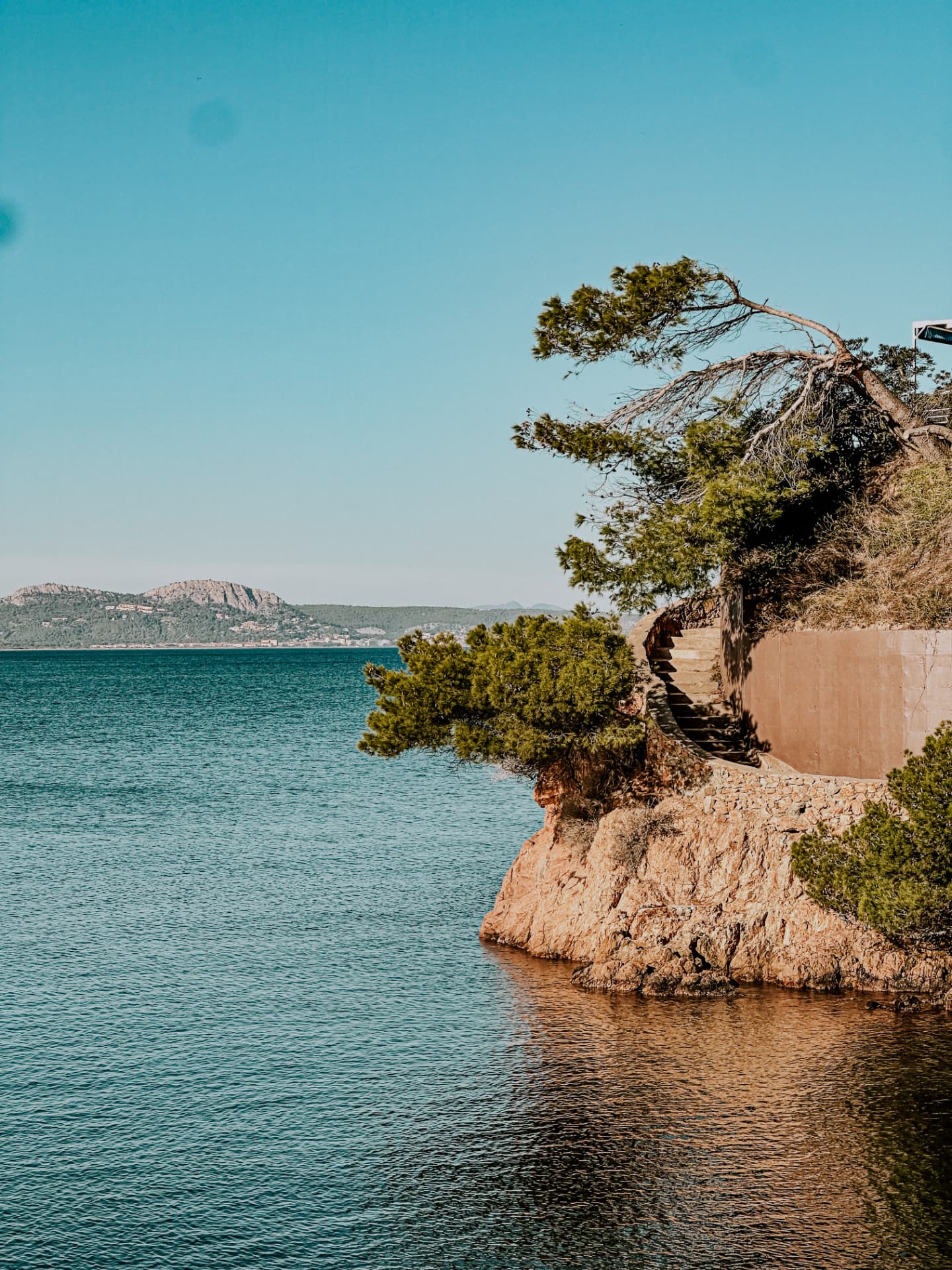 Pine trees and a rocky coastal walking path