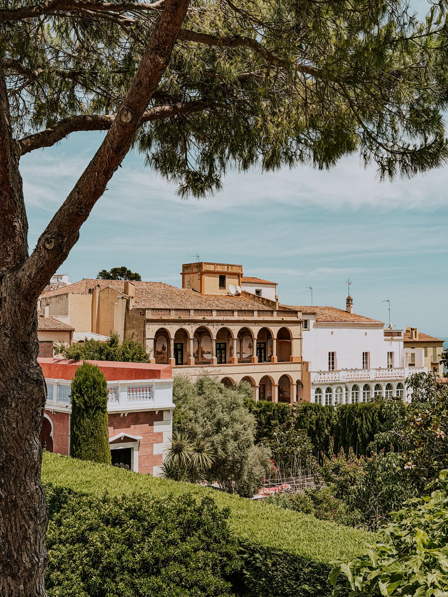 Architecture and pine trees in the historic town of Begur